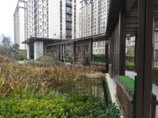 小高层 耳朵户型 一梯一户 中间楼层 小区中间位置