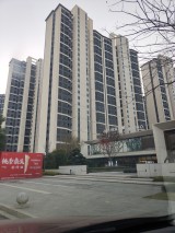 中建桃李九章实景图售楼处