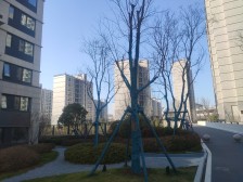 融创蓝天壹號 4室2厅 南