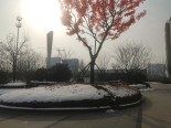 实景图售楼处