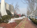 实景图售楼处