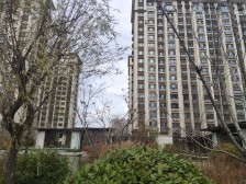 东泰泰和府 3室2厅 南 北