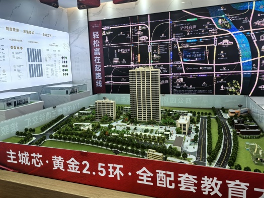 中星·书香雅苑实景图