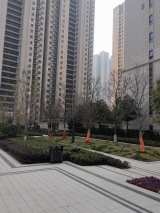 万科华生公园大道实景图在建工地