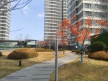实景图小区环境