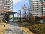 实景图小区环境