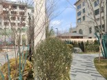 实景图小区环境