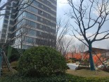 实景图小区环境