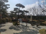 实景图小区环境