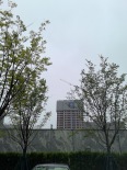 实景图在建工地