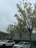 实景图在建工地