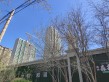 高远森霖城实景图