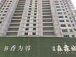 高远森霖城实景图