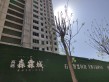 高远森霖城实景图