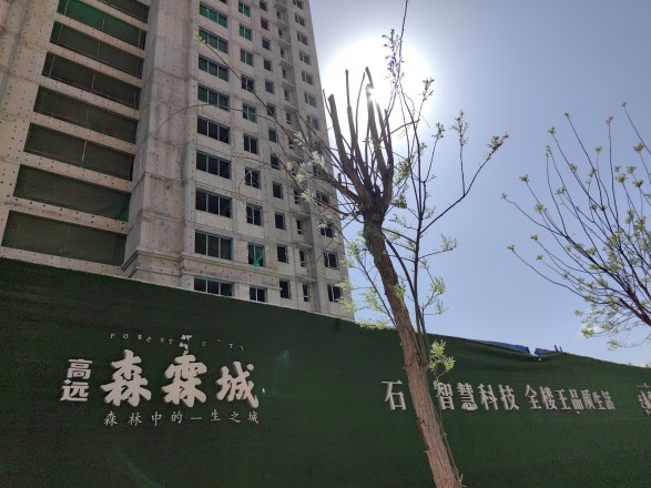 高远森霖城实景图