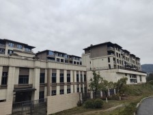 休闲角落,绿植装饰,看书喝茶,享受宁静时光