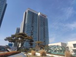 实景图售楼处