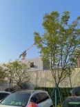 实景图在建工地