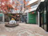 实景图小区环境