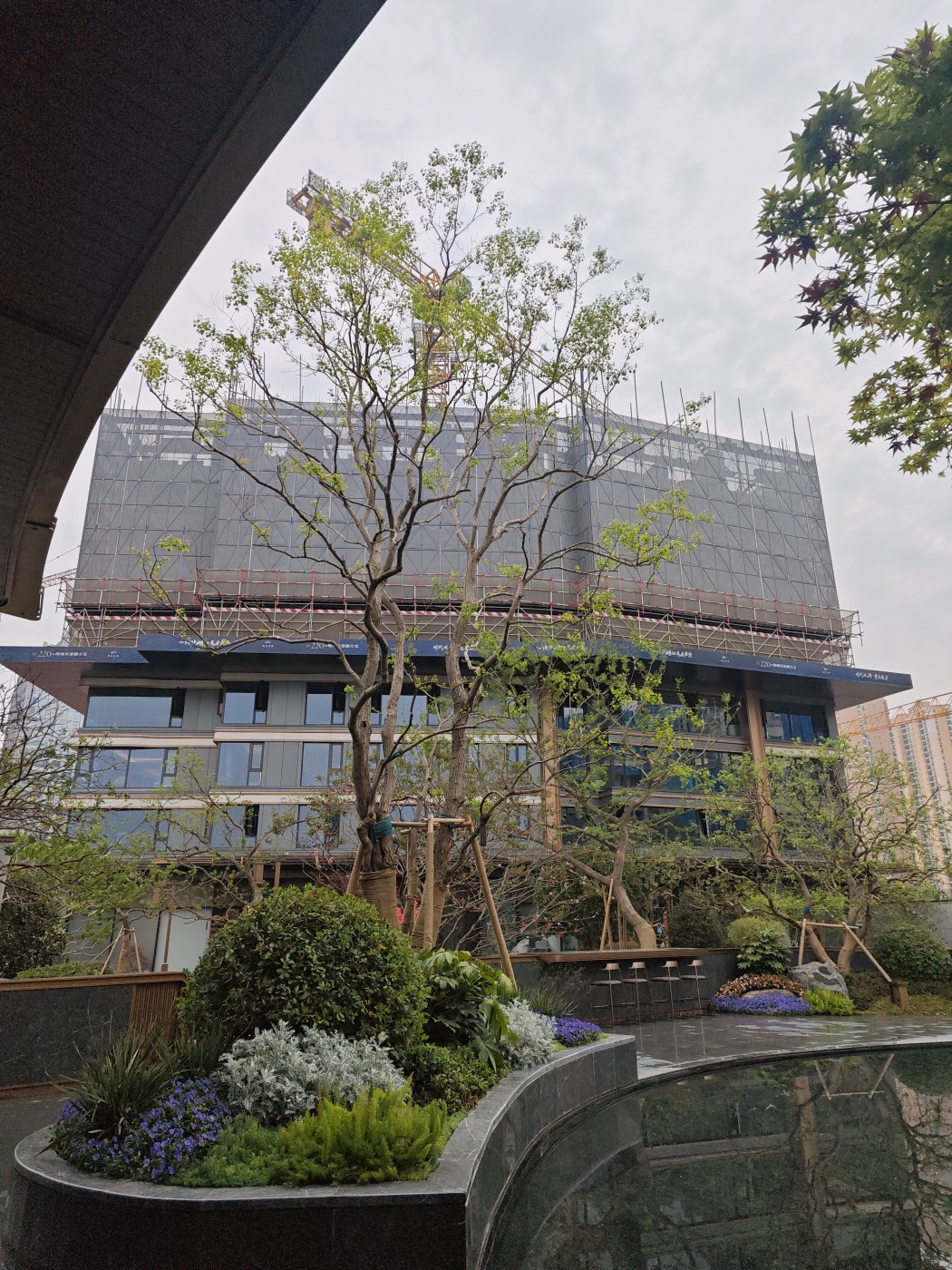 建发望湖图片_样板间图_位置图_装修效果图-武汉房天下