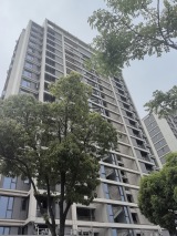 璟辰府实景图在建工地