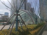 实景图小区环境