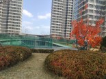 实景图小区环境
