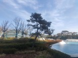 实景图小区环境