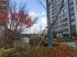 实景图小区环境