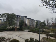 星悦礼玉金湾玉麟阁A区 4室2厅 南