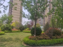 鲁商金茂观海印象二期 金滩学府旁新房现房