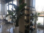 实景图售楼处