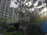 实景图在建工地
