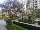 实景图在建工地