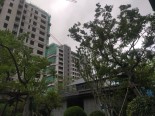 实景图在建工地