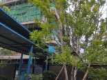 实景图在建工地