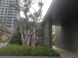 实景图在建工地