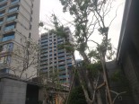 实景图在建工地