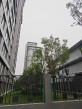 保利·天汇实景图