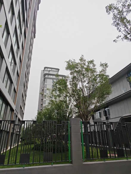 保利·天汇实景图