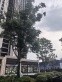万科华生·星耀大道实景图