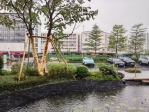 星河·盛世锦城