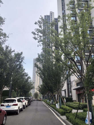 万科华生·星耀大道实景图