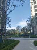 复地星愉湾3室2厅南