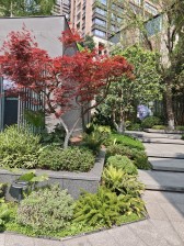 高档小区。小区环境优美。出行方便。