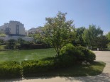 实景图小区环境