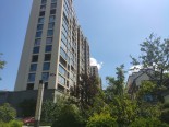 实景图小区环境