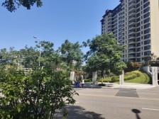 中庭、安静、户型好、5多金花+7龙珠、近公园、近江湾