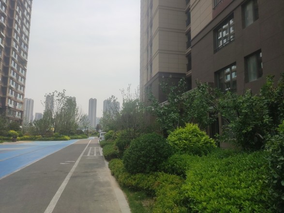 鲁商金茂观海印象实景图