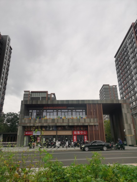 中海兴叁號院实景图